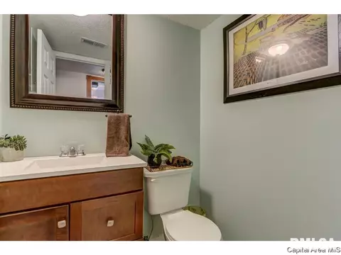 3204 Victoria Dr, Springfield, IL 62704 photo 23