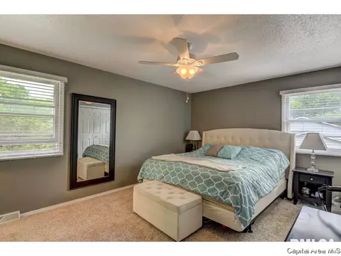 3204 Victoria Dr, Springfield, IL 62704 photo 15