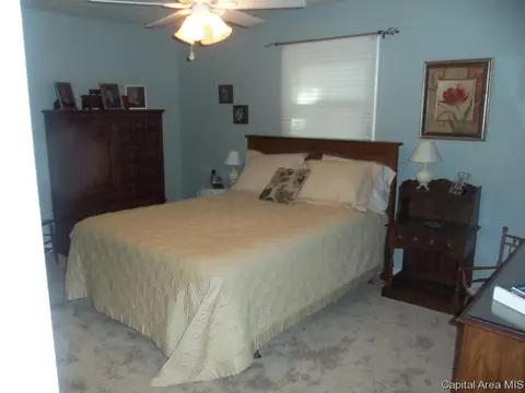 31 Sarah Ave, Springfield, IL 62703 photo 10