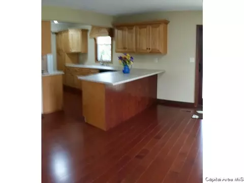 225 Tate Dr, Springfield, IL 62703 photo 4
