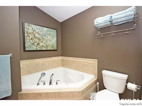 1817 Windycrest, Springfield, IL 62704 photo 21