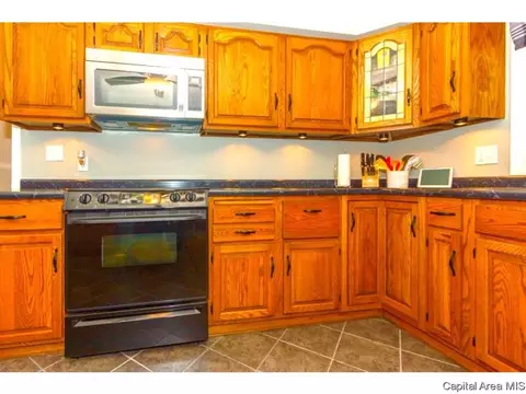 2429 Parkview Dr, Springfield, IL 62704 photo 19