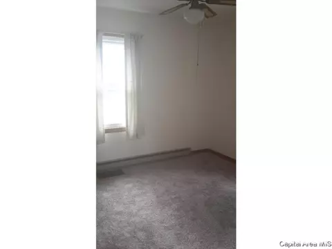 357 Elm St, Waverly, IL 62692 photo 8