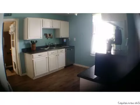 1409 S Pasfield St, Springfield, IL 62704 photo 8