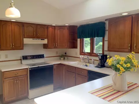 1360 Lenhart Rd, Springfield, IL 62707 photo 17
