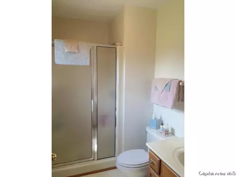 1360 Lenhart Rd, Springfield, IL 62707 photo 25