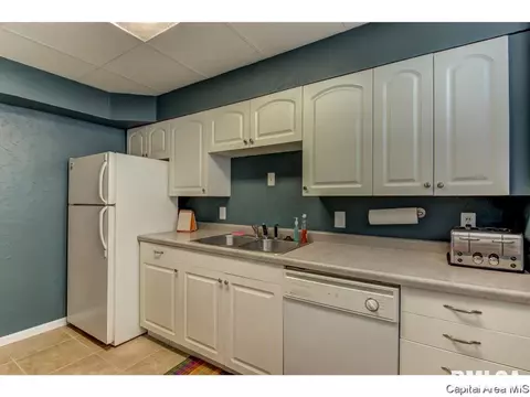 517 W Cedar St, Springfield, IL 62704 photo 22