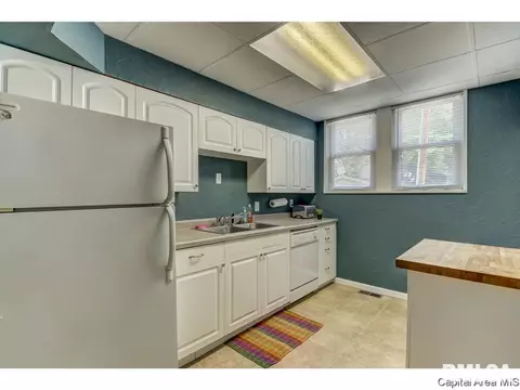 517 W Cedar St, Springfield, IL 62704 photo 23
