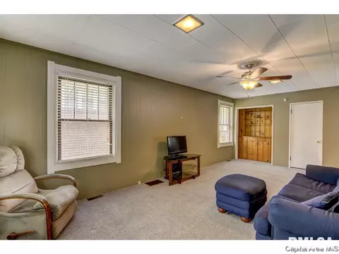 517 W Cedar St, Springfield, IL 62704 photo 20