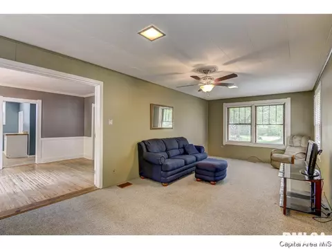 517 W Cedar St, Springfield, IL 62704 photo 19