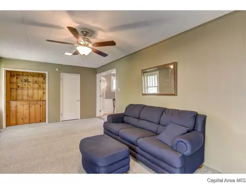 517 W Cedar St, Springfield, IL 62704 photo 21