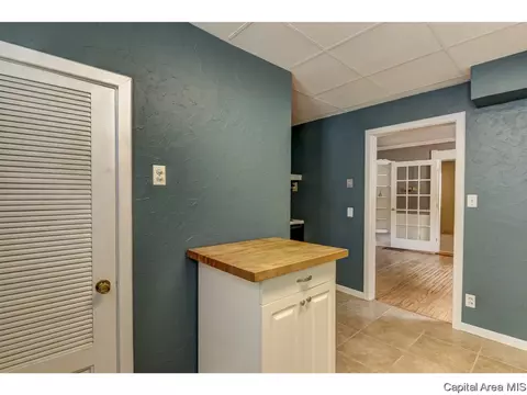517 W Cedar St, Springfield, IL 62704 photo 25