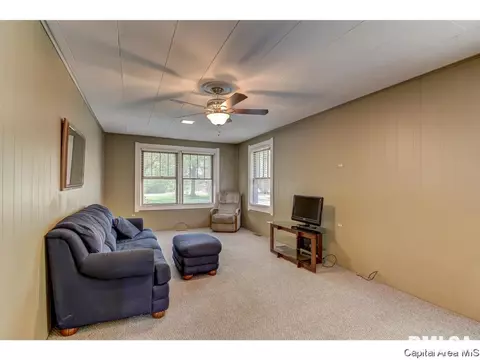 517 W Cedar St, Springfield, IL 62704 photo 18