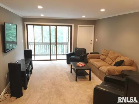 2012 Jeanette Ln UNIT C, Springfield, IL 62702 photo 3