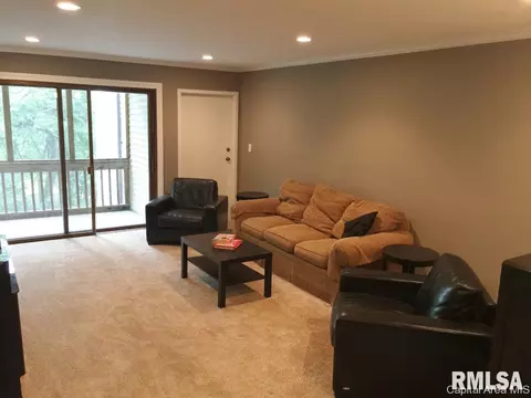 2012 Jeanette Ln UNIT C, Springfield, IL 62702 photo 4