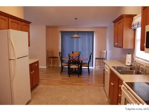 4628 Trevi Dr, Springfield, IL 62703 photo 10