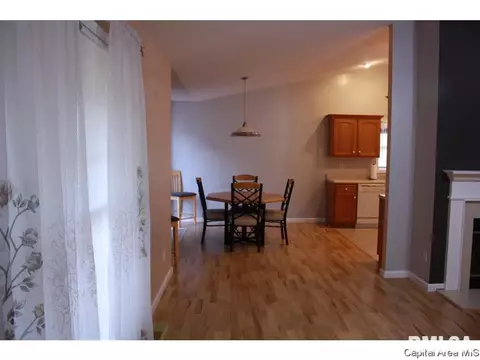 4628 Trevi Dr, Springfield, IL 62703 photo 13