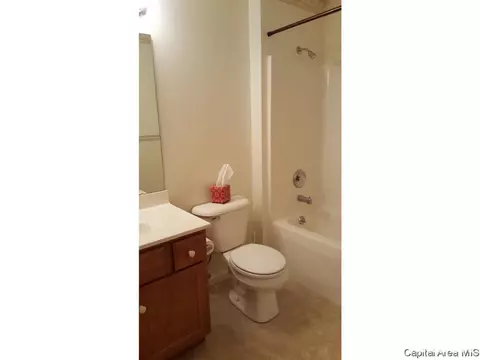 4628 Trevi Dr, Springfield, IL 62703 photo 26