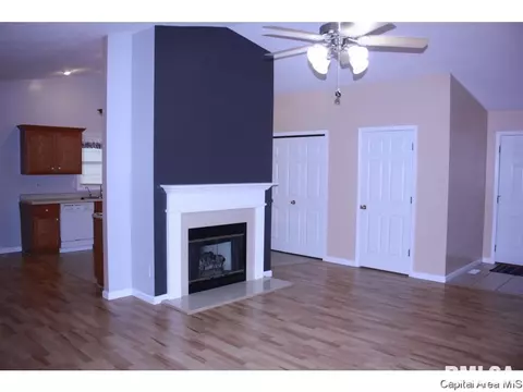 4628 Trevi Dr, Springfield, IL 62703 photo 7