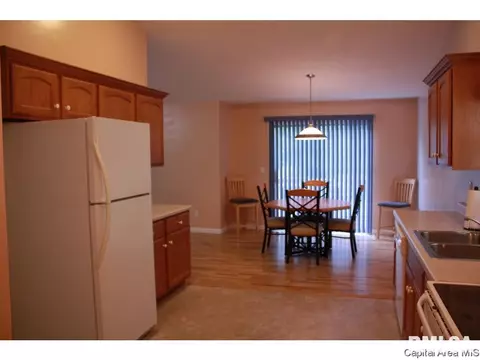 4628 Trevi Dr, Springfield, IL 62703 photo 15