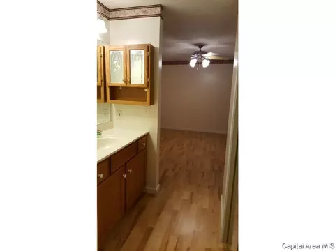 4628 Trevi Dr, Springfield, IL 62703 photo 19