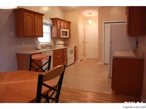 4628 Trevi Dr, Springfield, IL 62703 photo 17