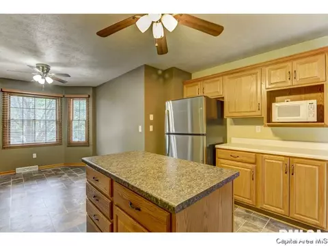 5960 N Lake Rd, Springfield, IL 62711 photo 13