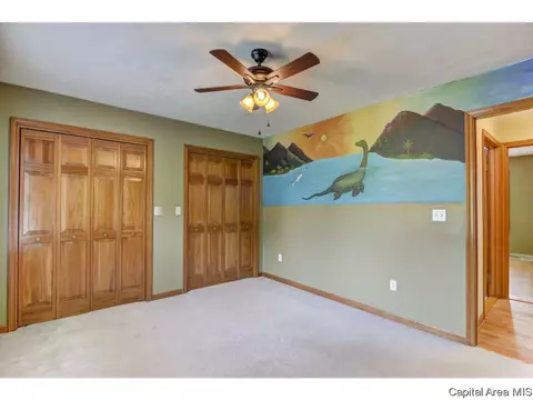 5960 N Lake Rd, Springfield, IL 62711 photo 24