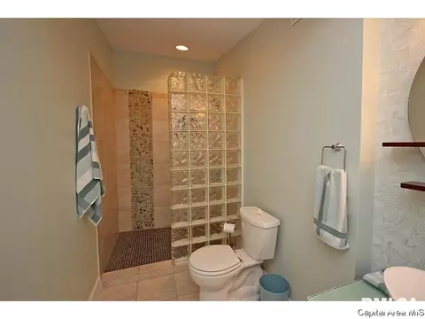 47 Fairview, Springfield, IL 62711 photo 23