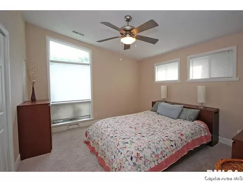 47 Fairview, Springfield, IL 62711 photo 15