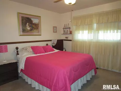 113 Dawn, Springfield, IL 62702 photo 5