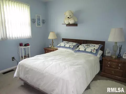 113 Dawn, Springfield, IL 62702 photo 6