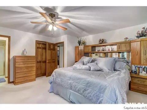 66 Cinnamon Crk, Springfield, IL 62707 photo 19