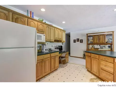 66 Cinnamon Crk, Springfield, IL 62707 photo 10