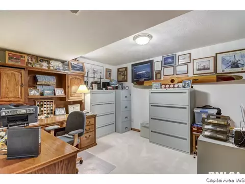 66 Cinnamon Crk, Springfield, IL 62707 photo 24