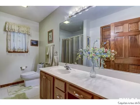 66 Cinnamon Crk, Springfield, IL 62707 photo 25