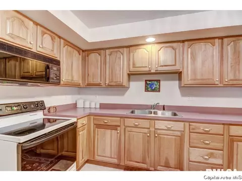66 Cinnamon Crk, Springfield, IL 62707 photo 16