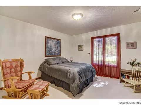 66 Cinnamon Crk, Springfield, IL 62707 photo 22