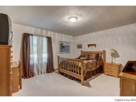66 Cinnamon Crk, Springfield, IL 62707 photo 21