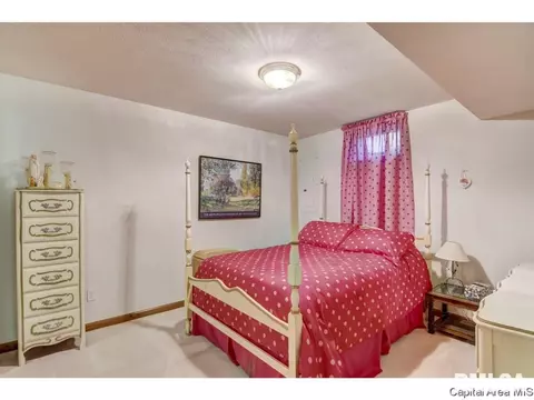 66 Cinnamon Crk, Springfield, IL 62707 photo 23