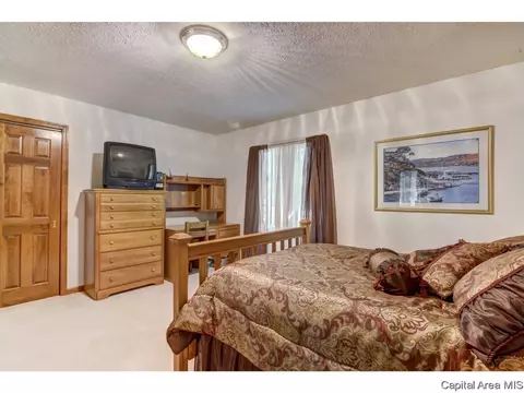66 Cinnamon Crk, Springfield, IL 62707 photo 20