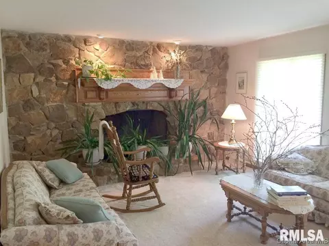 607 E 2650 North Rd, Rochester, IL 62563 photo 17