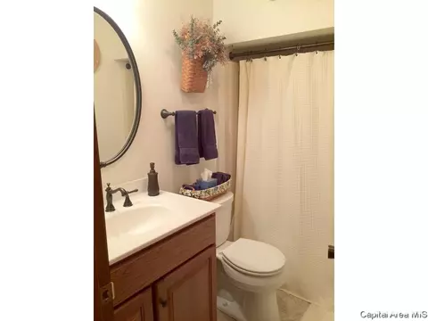 607 E 2650 North Rd, Rochester, IL 62563 photo 25