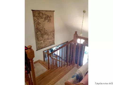 607 E 2650 North Rd, Rochester, IL 62563 photo 28