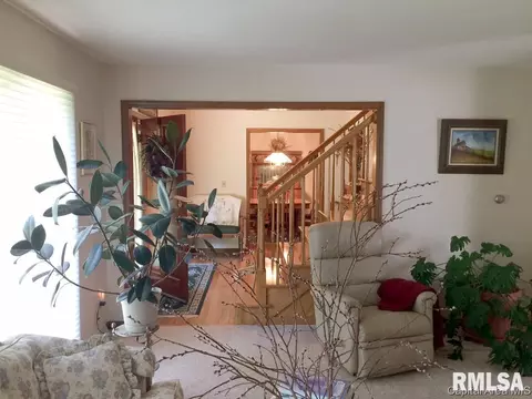 607 E 2650 North Rd, Rochester, IL 62563 photo 6