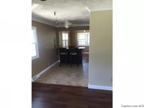 313 Farley Ave, Springfield, IL 62703 photo 3