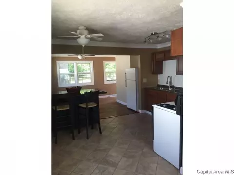 313 Farley Ave, Springfield, IL 62703 photo 4