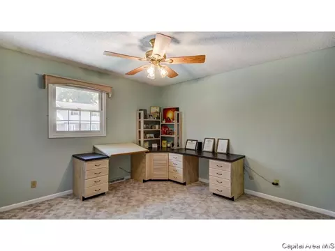 906 Roanoke Dr, Springfield, IL 62702 photo 22