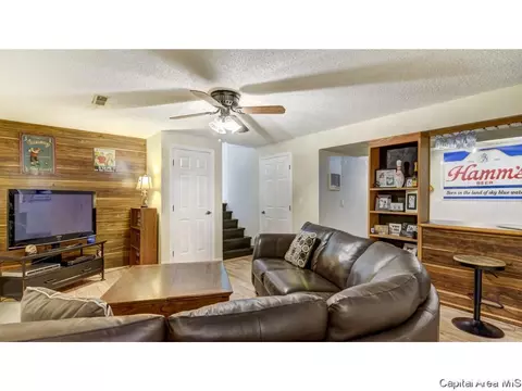 906 Roanoke Dr, Springfield, IL 62702 photo 26