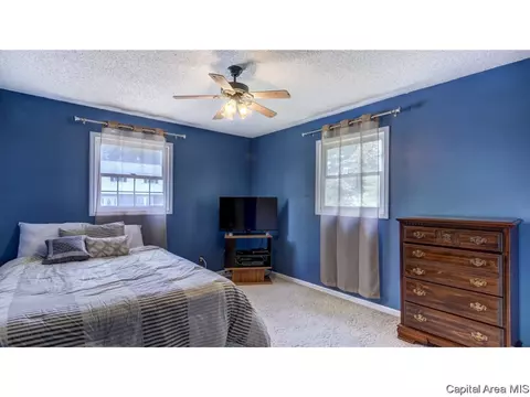 906 Roanoke Dr, Springfield, IL 62702 photo 21